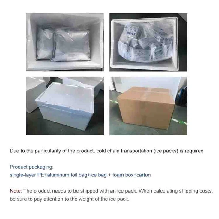 Lactobacillus Casei